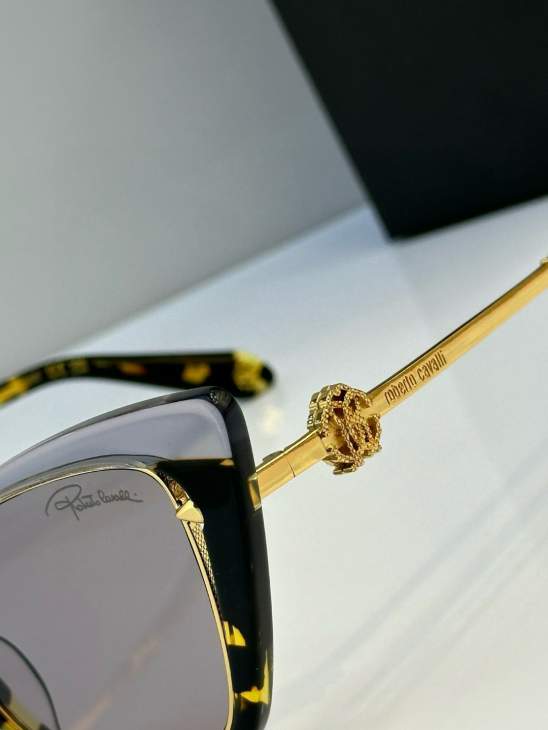 Picture of Roberto Cavalli Sunglasses _SKUfw65039873fw